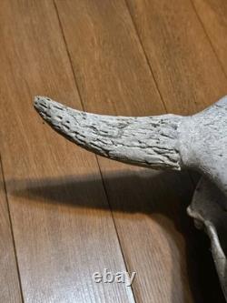 Bison Buffalo Skull Horns Weathered Vintage 17 Width Hangs on Wall