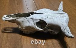 Bison Buffalo Skull Horns Weathered Vintage 17 Width Hangs on Wall