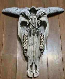 Bison Buffalo Skull Horns Weathered Vintage 17 Width Hangs on Wall