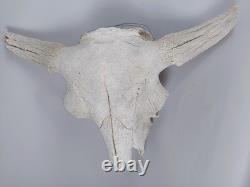 Bison Buffalo Skull Horns Without Caps Rustic Weathered Vintage 28 Width Cabin