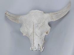 Bison Buffalo Skull Horns Without Caps Rustic Weathered Vintage 28 Width Cabin