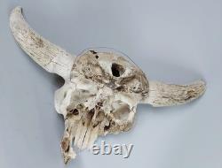 Bison Buffalo Skull Horns Without Caps Rustic Weathered Vintage 28 Width Cabin