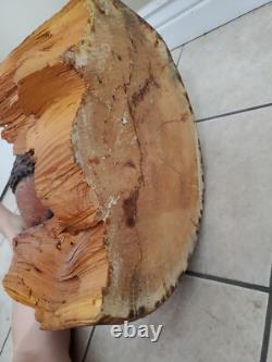 Bison Buffalo Wood Carving by Gary & Marilyn Betlach Wisconsin Stump Large Decor