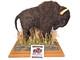 Bison Figure Wool/Plaster on Wood Base Buffalo Field Campaign with Booklet