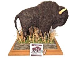 Bison Figure Wool/Plaster on Wood Base Buffalo Field Campaign with Booklet