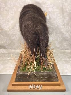 Bison Figure Wool/Plaster on Wood Base Buffalo Field Campaign with Booklet