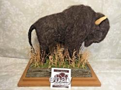 Bison Figure Wool/Plaster on Wood Base Buffalo Field Campaign with Booklet