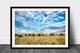 Bison Framed Print Oklahoma Buffalo Herd Tallgrass Prairie Western Wall Art