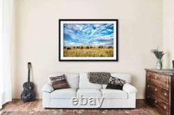 Bison Framed Print Oklahoma Buffalo Herd Tallgrass Prairie Western Wall Art