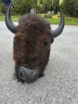 Bison Head