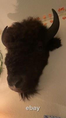 Bison Head Mount western taxidermy