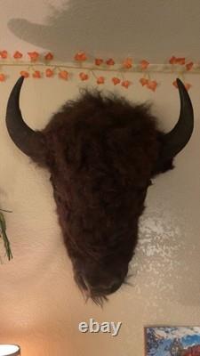 Bison Head Mount western taxidermy
