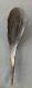 Bison Horn Scoop, Bison Horn Spoon, 12, 1860-1880's