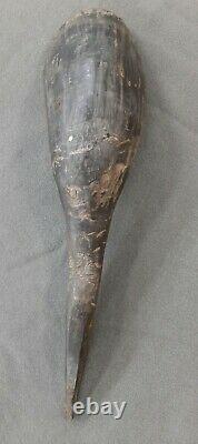 Bison Horn Scoop, Bison Horn Spoon, 12, 1860-1880's