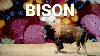 Bison In America Raising North America S Original Meat Made In The USA Episode 14