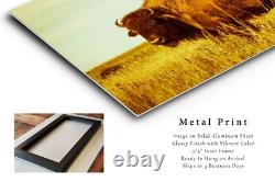 Bison Metal Print Oklahoma, Buffalo, Western, Vintage Style, Aluminum, Wall Art