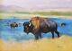 Bison On Flooded Plains, 18x24 Acrylic By Patsy Heller, Signed