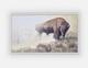 Bison Original 18 x 28 framed Artist Embellished Canvas Print