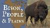 Bison People And Plains