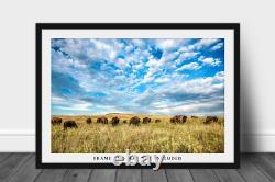Bison Photography Print Oklahoma, Buffalo, Prairie, Western, Picture, Photo
