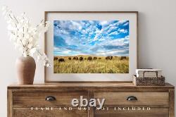 Bison Photography Print Oklahoma, Buffalo, Prairie, Western, Picture, Photo