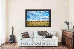 Bison Photography Print Oklahoma, Buffalo, Prairie, Western, Picture, Photo