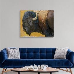 Bison Portrait III Canvas Wall Art Print, Wildlife Home Decor