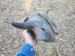 Bison Skull cap real historic buffalo skull