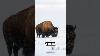 Bison The Resilient Giants Of North America