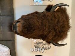 Bison buffalo head mount