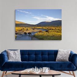 Bison herd in the Lamar Valley of Canvas Wall Art Print, Wildlife Home Decor
