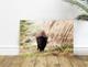 Bison in Theodore Roosevelt National Park North Dakota, Fine Art Photography