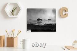 Bison in the Mist, Yellowstone Wall art, Paper, Canvas, Metal & Acrylic options