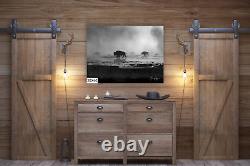 Bison in the Mist, Yellowstone Wall art, Paper, Canvas, Metal & Acrylic options