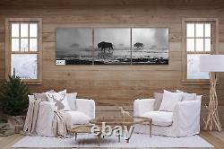 Bison in the Mist, Yellowstone Wall art, Paper, Canvas, Metal & Acrylic options