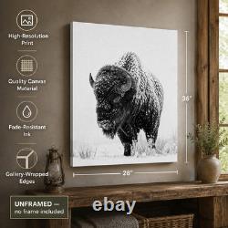 Bison of the North Snowy Buffalo Wall Art Black White Wildlife Cabin Decor