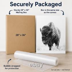 Bison of the North Snowy Buffalo Wall Art Black White Wildlife Cabin Decor