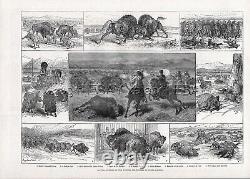 Buffalo American Bison Hunt, Washington or Dakota Territory 1880s Antique Print