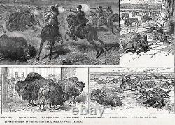 Buffalo American Bison Hunt, Washington or Dakota Territory 1880s Antique Print