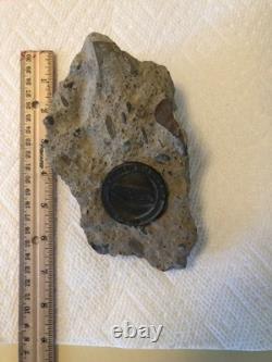 Buffalo Bills Bisons War Memorial Stadium Piece Rockpile Cement Natural Redford