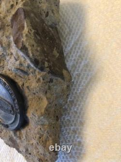 Buffalo Bills Bisons War Memorial Stadium Piece Rockpile Cement Natural Redford