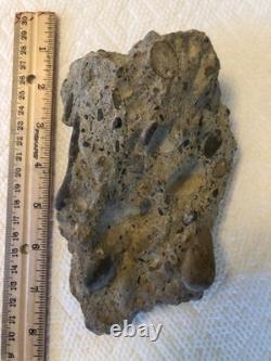 Buffalo Bills Bisons War Memorial Stadium Piece Rockpile Cement Natural Redford