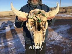 Buffalo Bison Head Skull