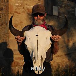 Buffalo Bison Head Skull Horns