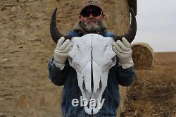 Buffalo Bison Head Skull Horns