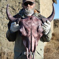 Buffalo Bison Head Skull Horns