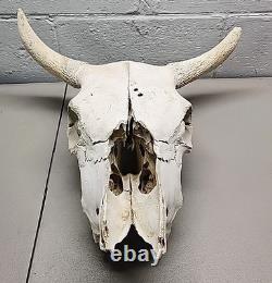 Buffalo Bison Head Skull Horns