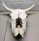Buffalo Bison Head Skull Horns