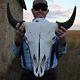 Buffalo Bison Head Skull Horns