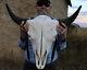 Buffalo Bison Head Skull Horns